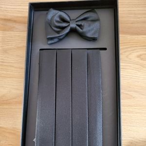 Men's silk bow tie and cummerbund set